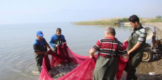 Bu göl “gümüş” kaynıyor gümüş