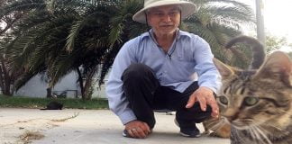 Her gün Fatih’ten Kasımpaşa’ya yürüyerek sokak kedilerini besliyor