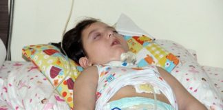 Kabak çekirdeğiyle hayatları karardı