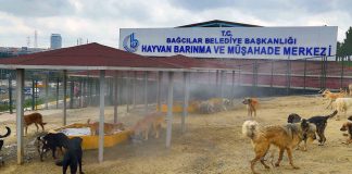 Sıcak ve nemden bunalan hayvanlara buharlı serinlik