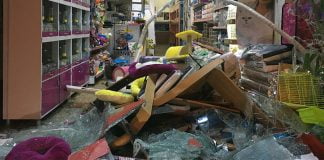 Freni boşalan servis minibüsü evcil hayvan dükkanına dükkana girdi