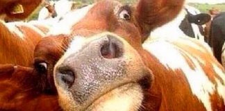 2017 yılında ilk kez uzun tatil yapma fırsatı var!