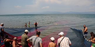 Balıkçılar gümüş balığına av yasağı istiyor av yasağı