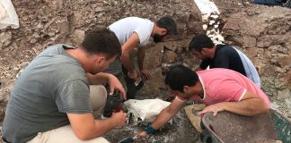 Çankırı’da 8,5 milyon yıllık fosil bulundu