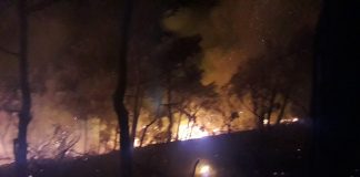 Marmaris’te orman yangını orman yangını