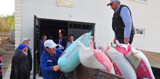 3 bin yıllık ”Siyez Buğdayı” toprakla buluşuyor