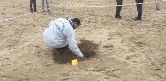 Sahilde insan kemikleri bulundu