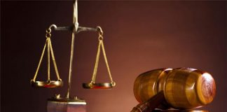 Köpeği bıçaklayarak öldüren öğretim görevlisi beraat etti