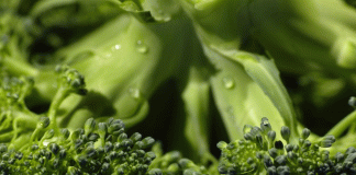 Düzenli brokoli tüketmek kanseri engelliyor