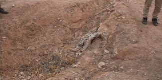 Toplu mezarlarda 900 ceset bulundu