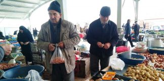 Tohumluk soğan fiyatlarının yükselişi durdurulamıyor