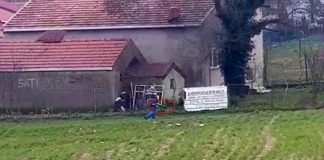 Köpeklere kurşun yağdırdı