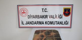 Picasso’nun tablosunu satmak isterken yakalandılar