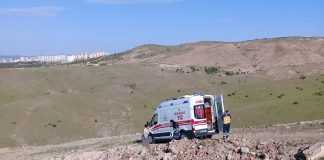 Sokak köpeklerinin saldırısına uğrayan yaşlı kadın öldü