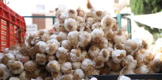 Sarımsak ve limon fiyatlarında artış!