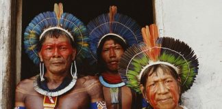 Amazon’un düşman kabileleri ormanları kurtarmak için birleşti