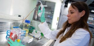 Bavyera herkese koronavirüs testi yapmaya hazırlanıyor