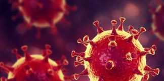 Koronavirüs hakkında çıkan haber sayısı 21 milyonu aştı