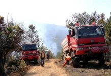Orman yangınları konusunda vatandaşlar uyarıldı