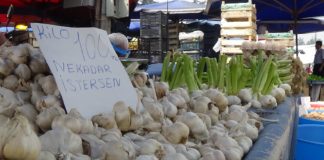 Sarımsağın kilosu 100 lirayı buldu