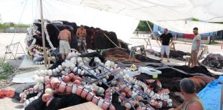 Balıkçılar yeni sezondan umutlu