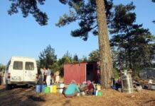 Arılarla ormanlarda geçen yaşamlar