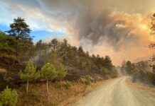 Kastamonu’da dün başlayan orman yangını söndürüldü