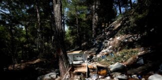 Bursa’da bir çevre katliamı daha