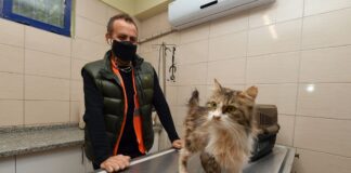 Depremzede kediyi Haluk Levent sahiplendi