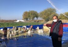 Hesap makinesini değil toprağı tercih etti