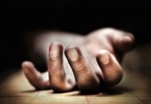 Cehennemde Açan Çiçekler: Toloki ve Norida Toloki ve Norida