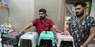 Kadıköy Belediyesi sokak hayvanlarına sahip çıkmaya çağırdı sokak hayvanları