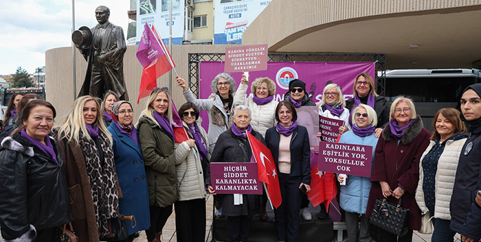 kadına yönelik şiddet